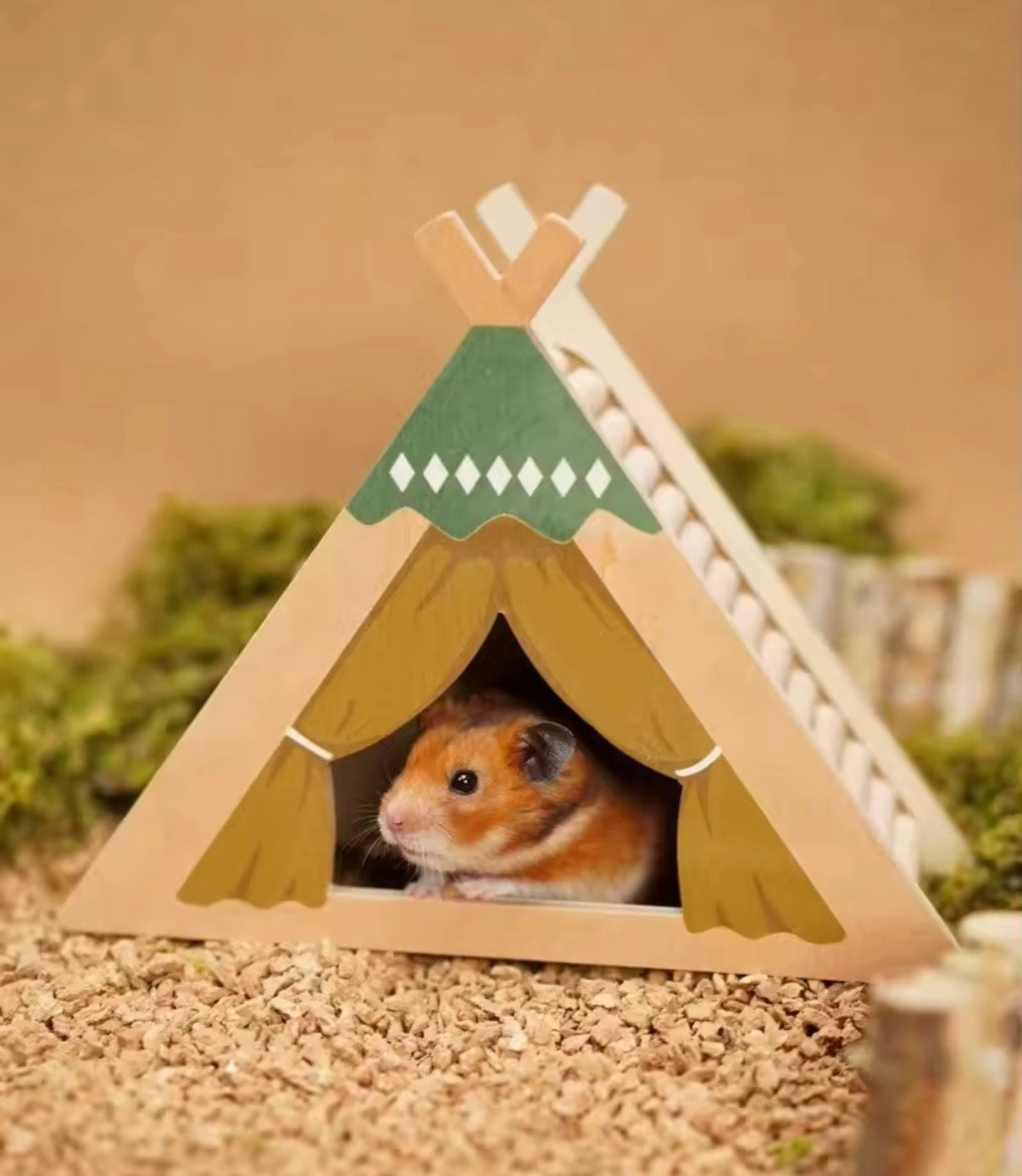 Camping Tent Shelter Hide