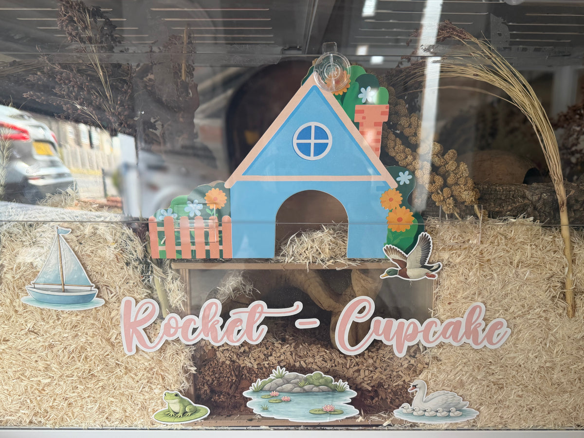 Bluebell Cottage Hide