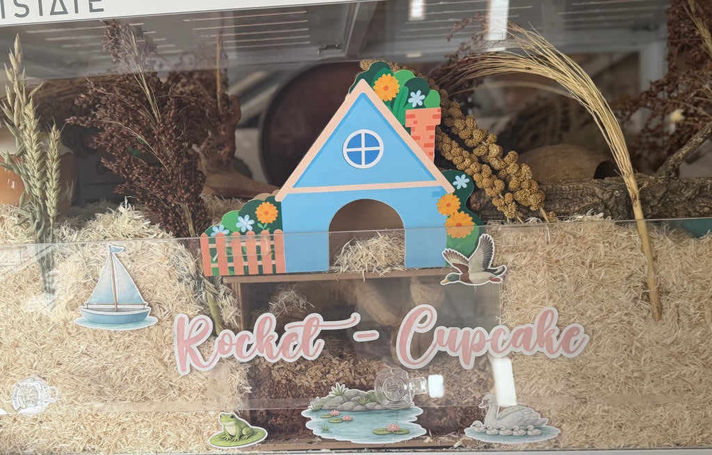 Bluebell Cottage Hide