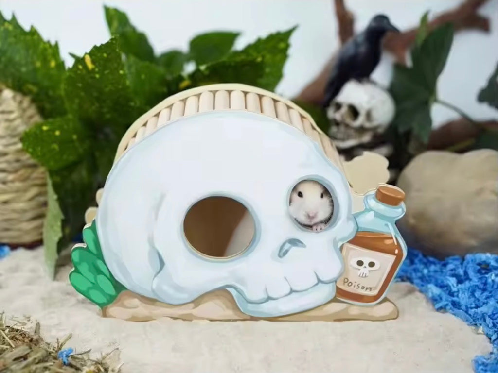 Pirate Skull Cave Hide