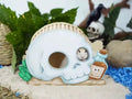 Pirate Skull Cave Hide